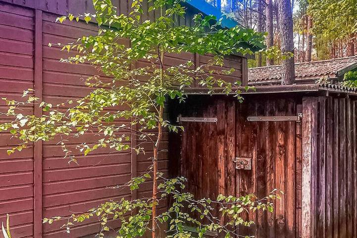 Ferienhaus für 4 Personen, mit Terrasse und Sauna, mit Haustier in Vipperow - 4