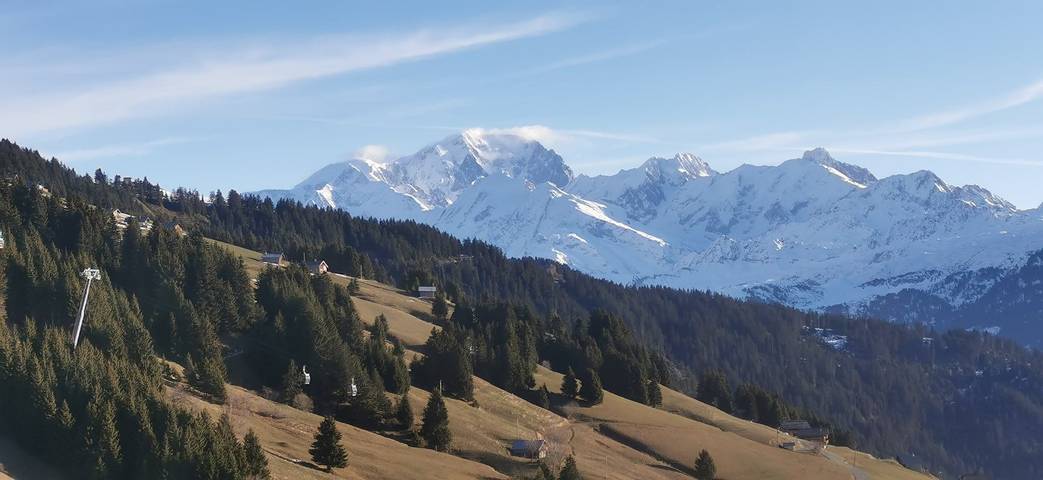 Gîte pour 6 personnes, avec terrasse et jardin à Villard-sur-Doron - 3