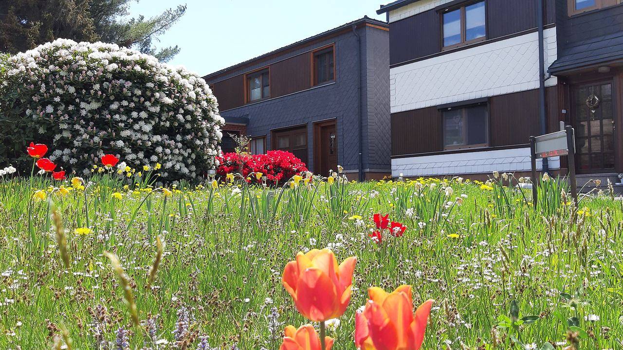 Ganze Ferienwohnung, Ferienwohnung für 3 Personen (50 m²) in Meuselbach-Schwarzmühle in Meuselbach-Schwarzmühle, Frankenwald