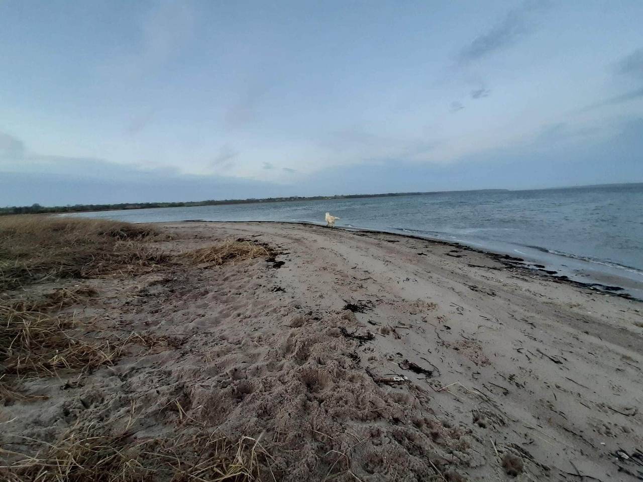 Geraumiges Refugium am Limfjorden -- By Traum Ferienwohnungen in Morsø, Limfjord in Nordjütland