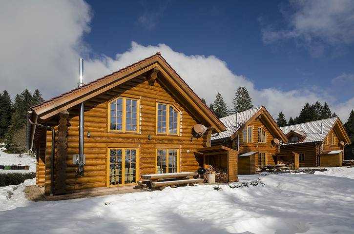 Chalet für 14 Personen, mit Balkon/Terrasse und Terrasse sowie Sauna in Feldberg