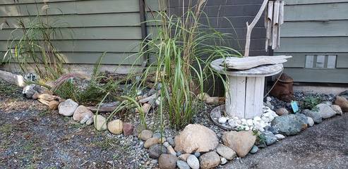 Log Cabin for 4 People in Vancouver Island, British Columbia, Photo 1