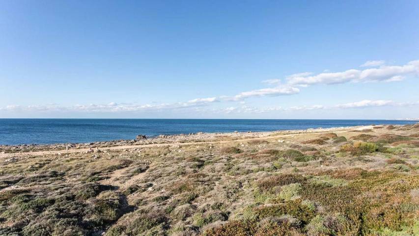 Villa für 6 Personen, mit Garten im Salento - 3