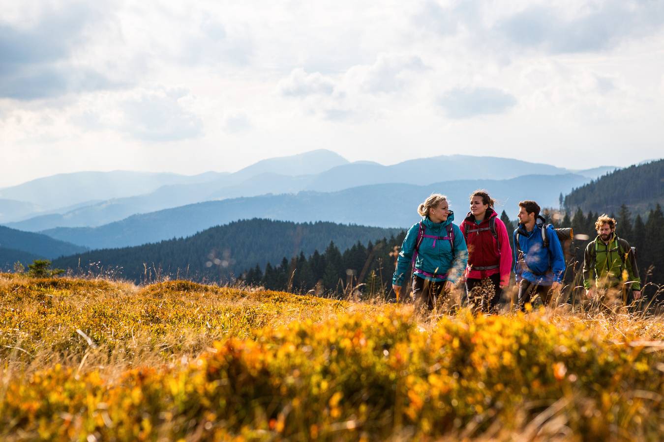 Chambre « Mit Terrasse » avec terrasse privée et Wi-Fi in Suedlicher Schwarzwald, Hinterzarten