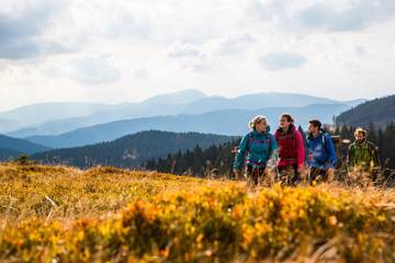 Hütte für 2 Personen in Suedlicher Schwarzwald, Hinterzarten, Bild 2