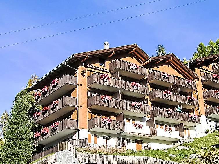 Ganze Wohnung, 3 Pièces 5 Personnes in Grächen, Walliser Alpen