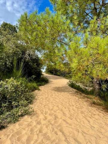 Gîte pour 2 personnes, avec vue, animaux acceptés à Le Château-d'Oléron