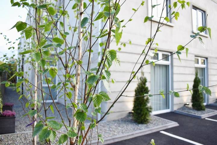 Maison d’hôte pour 2 personnes à Killarney - 4