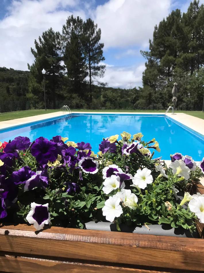 Bungalow für 2 Personen, mit Pool in Portugal - 4