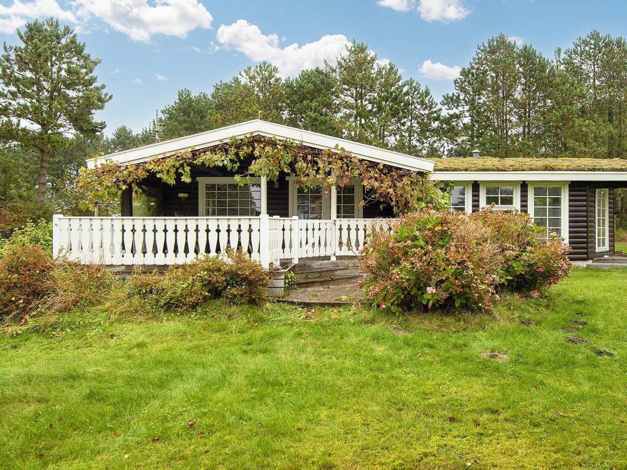 Meeresruhe in Skadshoved in Skødshoved, Knebel