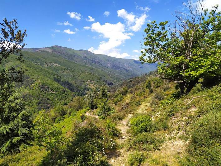 Location de vacances pour 2 personnes, avec jardin ainsi que terrasse et piscine à Valleraugue - 3