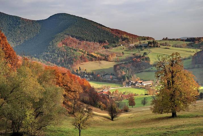 BnB für 3 Personen, mit Terrasse und Garten in Niederösterreich