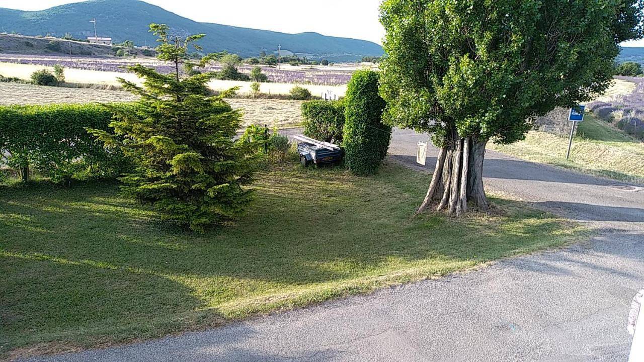 Les bois rouges in La Rochegiron, Région de Forcalquier