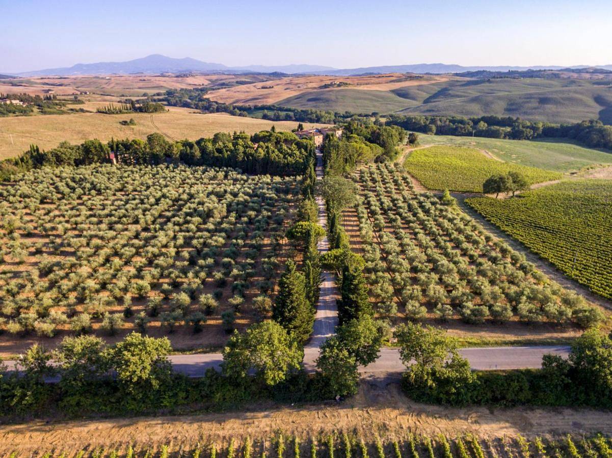 Agriturismo Pometti - Fattoria La Selva in Trequanda, Siena e dintorni