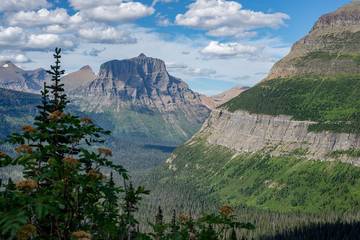 Log Cabin for 3 People in West Glacier, Glacier National Park, Photo 3