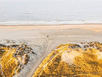 Ferienhaus für 6 Personen in Nørre Lyngvig, Hvide Sande, Bild 3