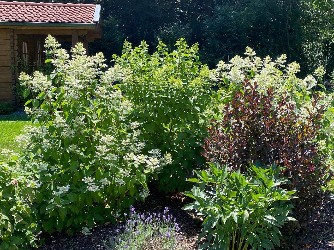 App.-Haus zur Europa-Therme - Appartement Ez in Bad Füssing, Ostbayern