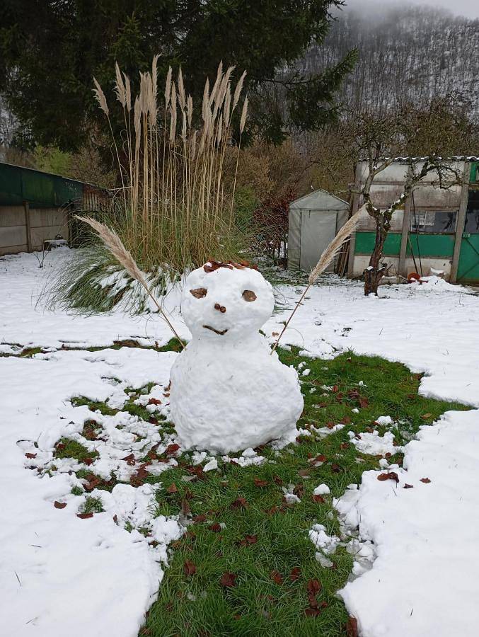 Chambre d’hôte pour 3 personnes, avec vue et jardin dans les Ardennes - 2