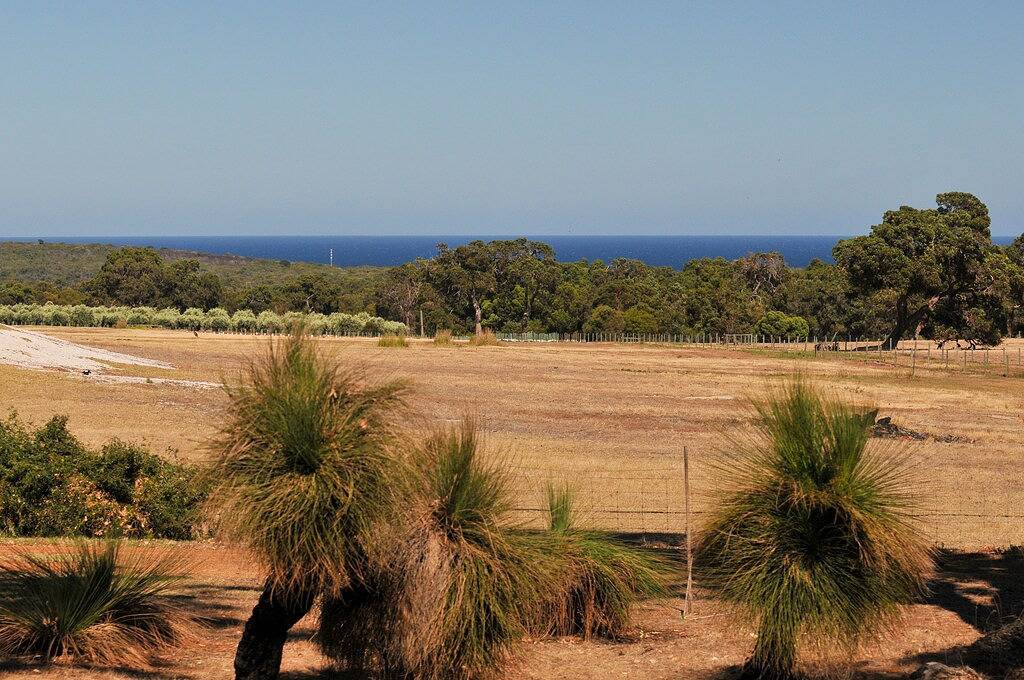 Roo topia at Chez Nous A Yallingup Sanctuary in Yallingup, Western Australia