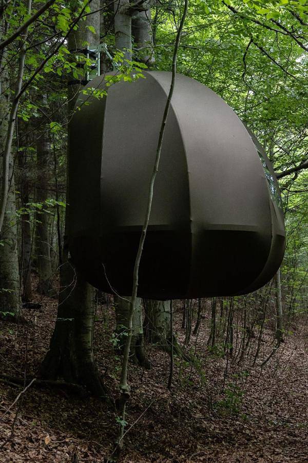 Tente pour 4 personnes, avec vue en Pologne - 4