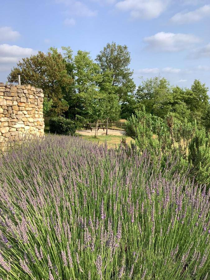 Location de vacances pour 2 personnes, avec jardin et piscine ainsi que jacuzzi et sauna à Calès (Midi-Pyrénées) - 2