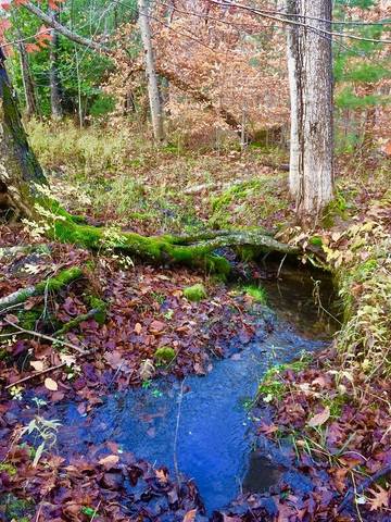 Barn for 12 Guests in Lake Ontario (Canada), Ontario, Picture 1