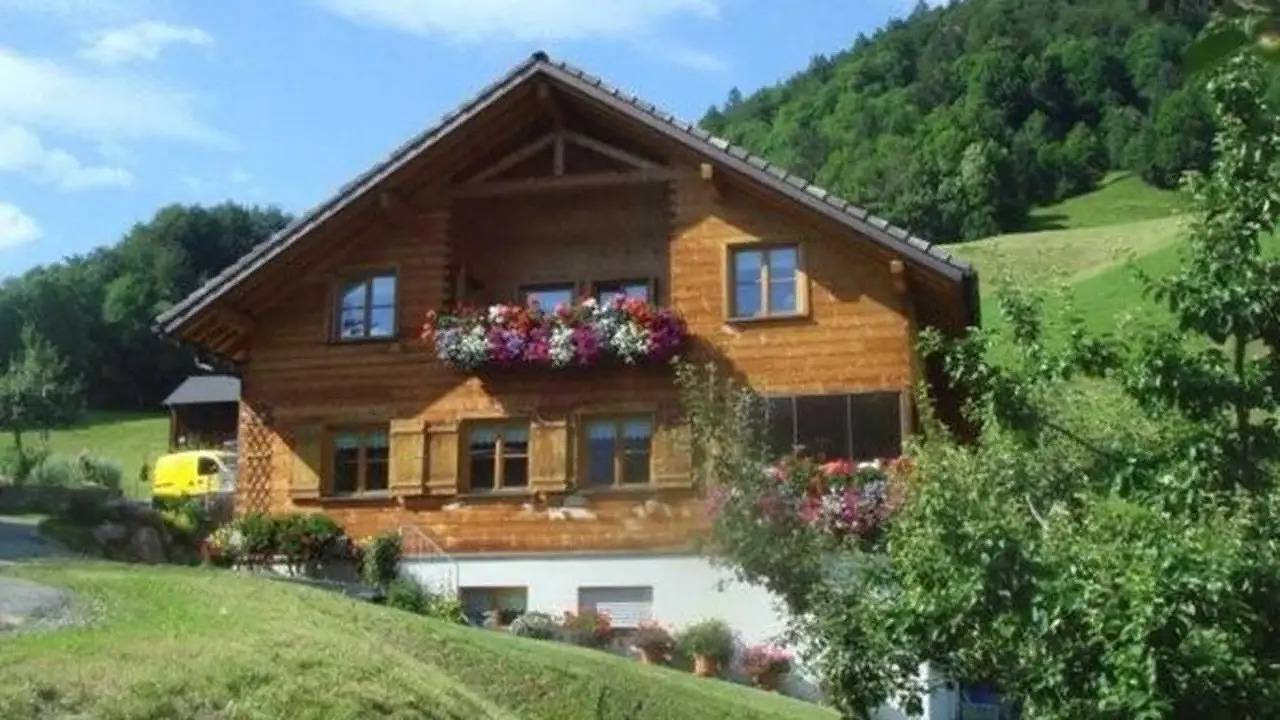 Ganze Ferienwohnung, Ferienwohnung für 6 Personen (60 m²) in Schoppernau in Schoppernau, Bregenzerwald