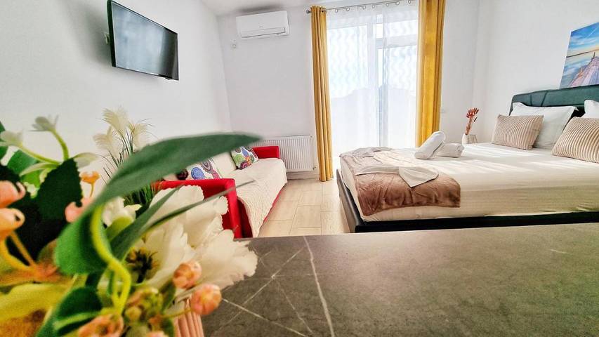 Maison d’hôte pour 4 personnes, avec terrasse, animaux acceptés dans Constanța - 3