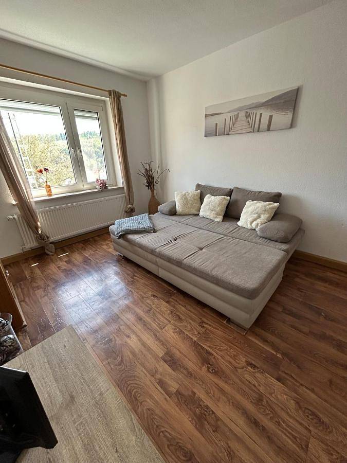 Ferienwohnung für 4 Personen, mit Terrasse und Garten sowie Ausblick in Rosenthal am Rennsteig - 3
