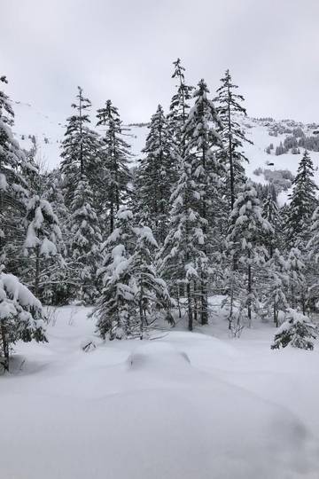 Chalet für 7 Personen in Adelboden, Berner Oberland, Bild 2