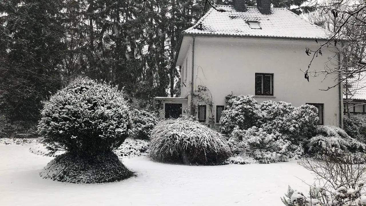 Ferienhaus für 4 Personen (120 m²) in Hodenhagen in Hodenhagen, Aller-Leine-Tal