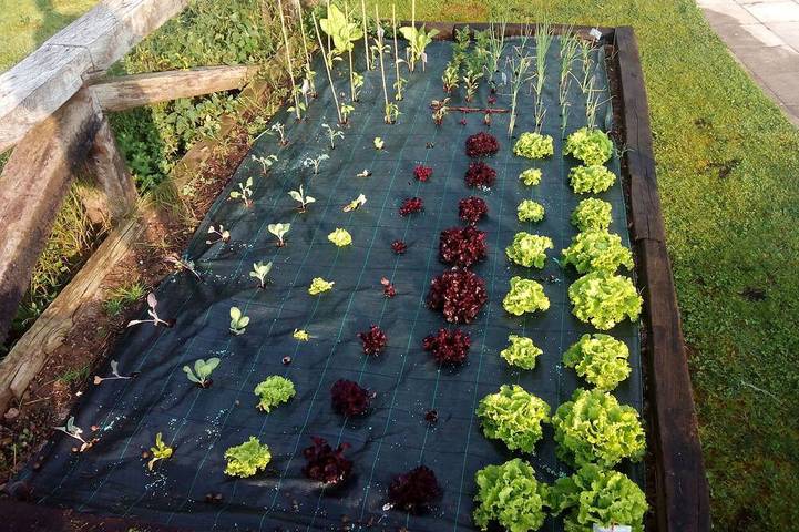 Ferienhaus für 7 Personen, mit Garten - 1