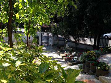 Villa voor 6 Personen in Rosolina Mare, Provincie Rovigo, Afbeelding 3