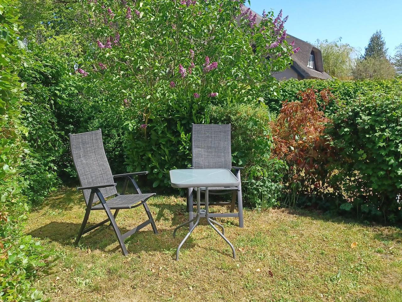 Ganze Ferienwohnung, Appartement Meeresträume Wohnung 3 in Wustrow, Fischland