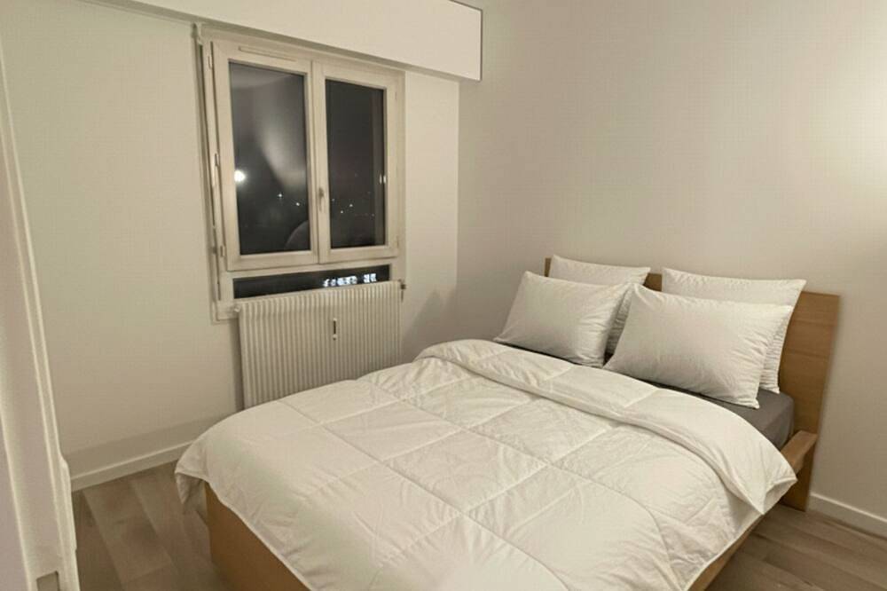 Ganze Wohnung, Beautiful apartment in downtown Ferney-Voltaire in Ferney-Voltaire, Gex