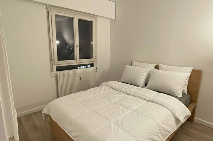 Appartement entier, Beautiful apartment in downtown Ferney-Voltaire in Ferney-Voltaire, Gex
