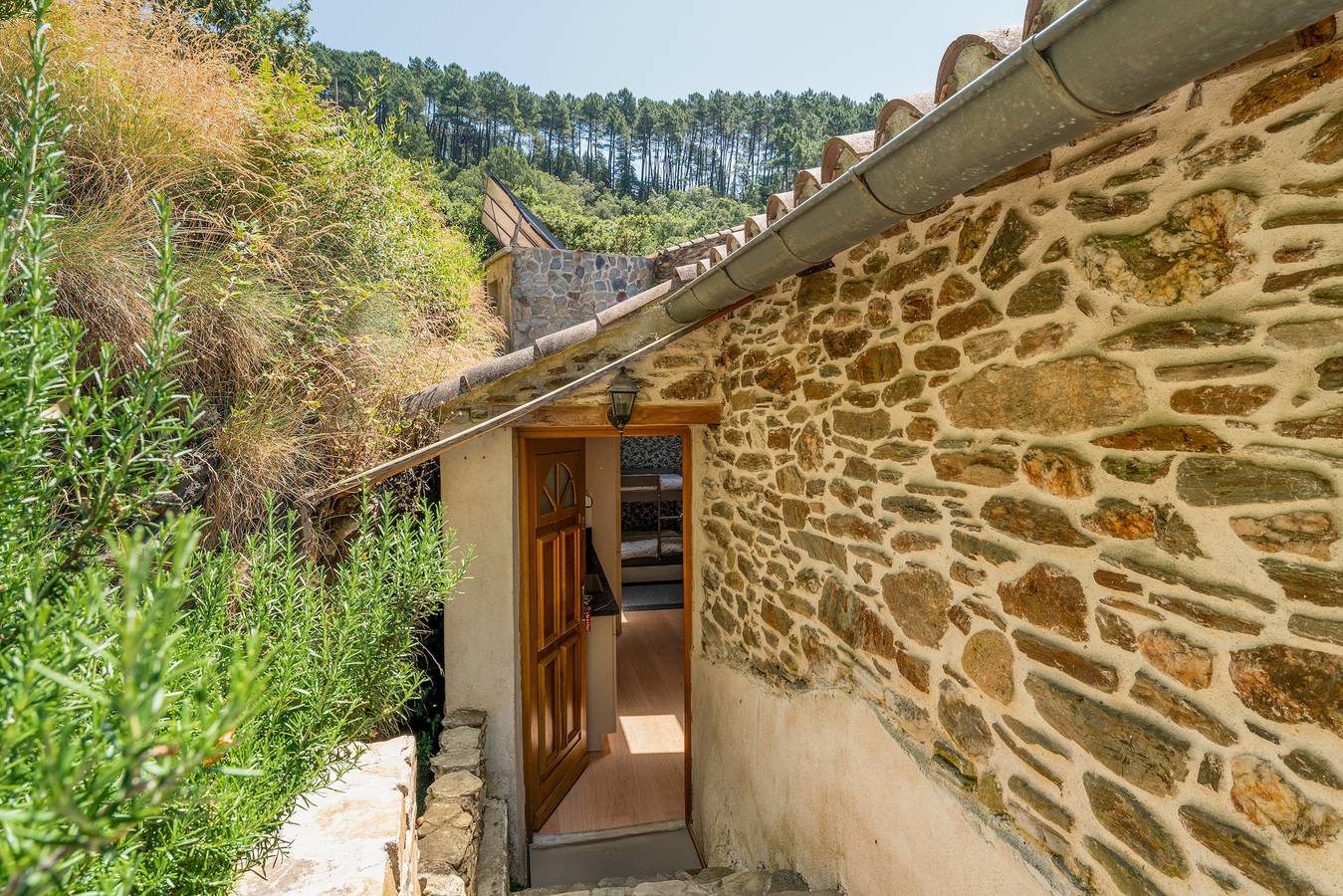 Maison Le Mas de la Brousse – Naturaleza, confort y encanto en el corazón de las Cévennes in Saumane, Cevenas