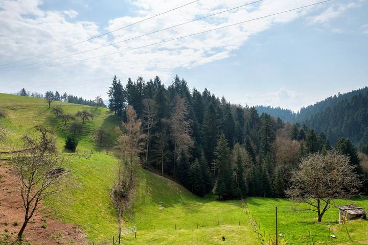 Ferienwohnung für 3 Personen, mit Garten in Oberharmersbach - 2