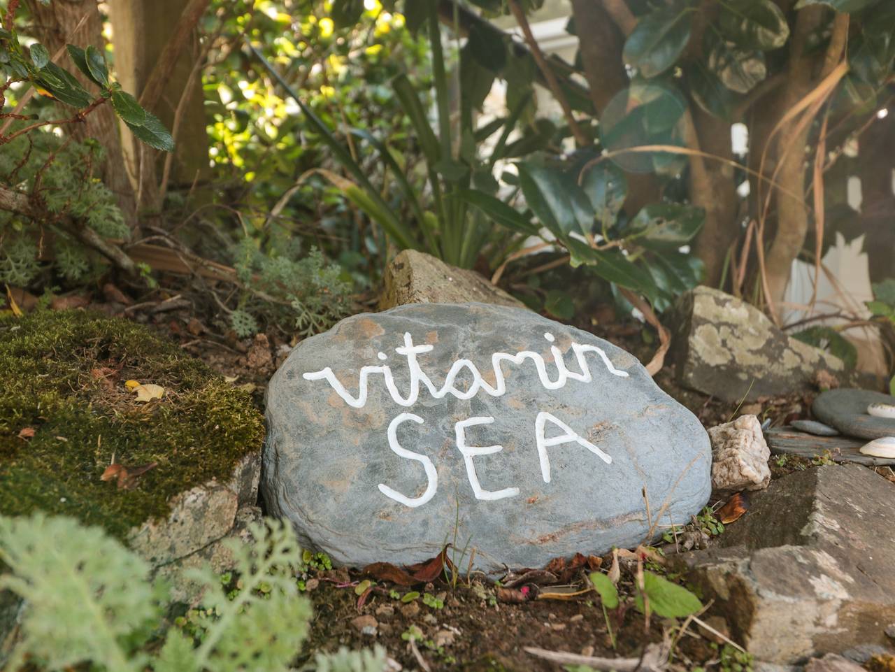 33 Weymouth Park in South Huish, Hope Cove