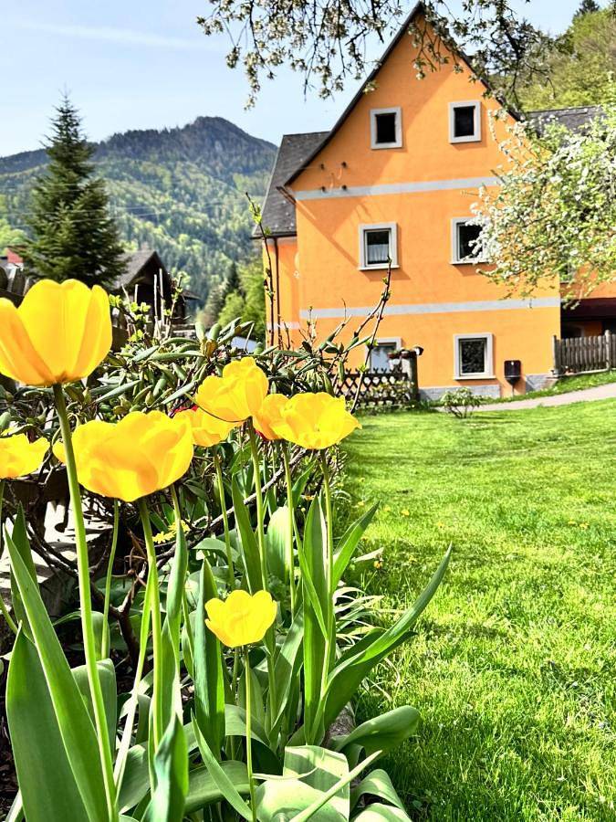 Ferienwohnung für 5 Personen, mit Garten und Ausblick
