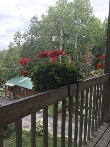 Chalet for 2 People in Ontario, Canada, Photo 4