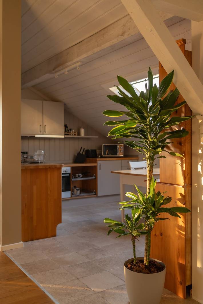Apartamento entero, Happy Hugle Haus con vistas espectaculares a viñedos y Vosgos in Fessenbach, Offenburg