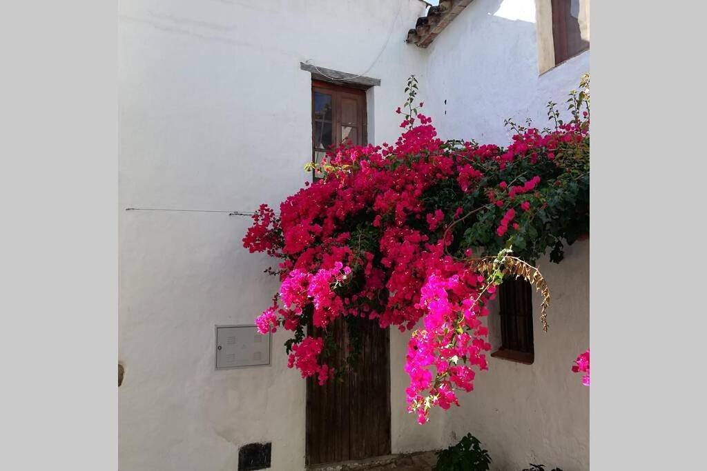 Two-Bedroom House in Castillo de Castellar, Castellar de la Frontera
