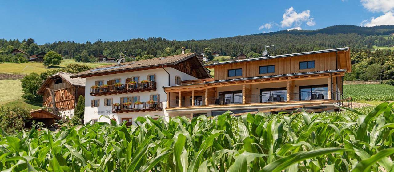 Ganze Wohnung, Schweiggerhof -Agriturismo- Farm Holidays in Villanders, Sarntaler Alpen
