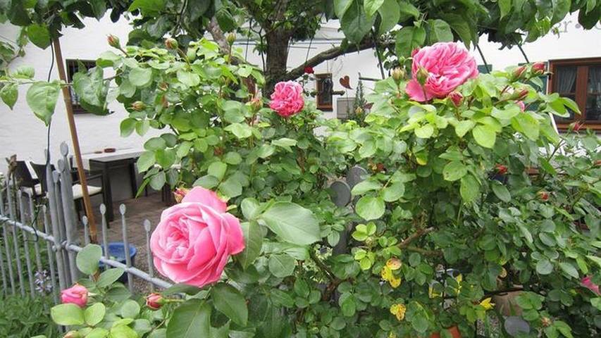 Gîte pour 2 personnes, avec balcon à Oberammergau - 4