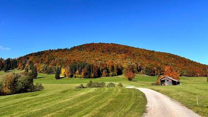 Ferienwohnung für 5 Personen in Hopferau, Allgäuer Alpen, Bild 4