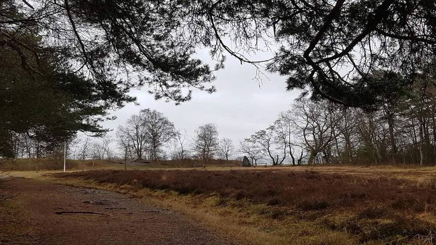 Ferienhaus für 13 Personen, mit Terrasse und Whirlpool sowie Pool, mit Haustier in Aarhus und Umgebung - 4