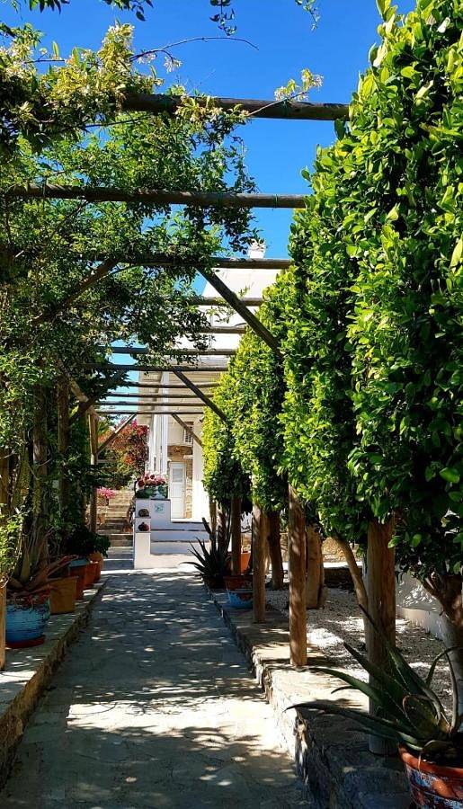 Chambre d’hôte pour 3 personnes, avec vue et jardin dans Naxos - 3