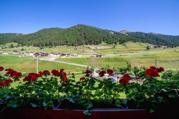 Entire apartment, Apartment "Rieglhof Kükennest" with Mountain View, Garden & Wi-Fi in Graun, South Tyrol