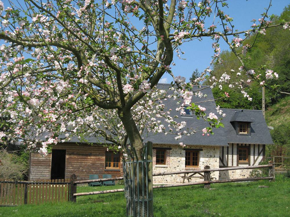 Gîte "La Cidrerie" in Fatouville-Grestain, Côte de Grâce